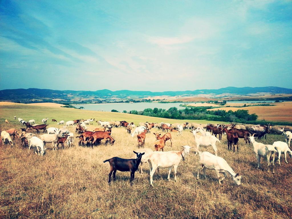 Agriturismo L'Impero سانتا لوتشي المظهر الخارجي الصورة