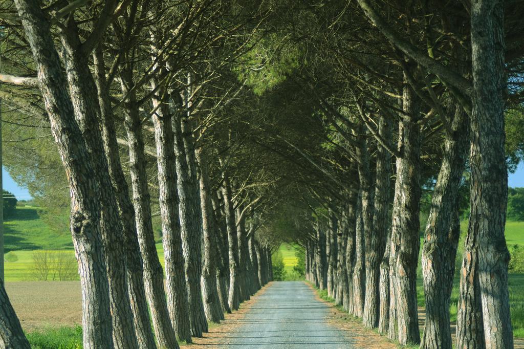 Agriturismo L'Impero سانتا لوتشي المظهر الخارجي الصورة