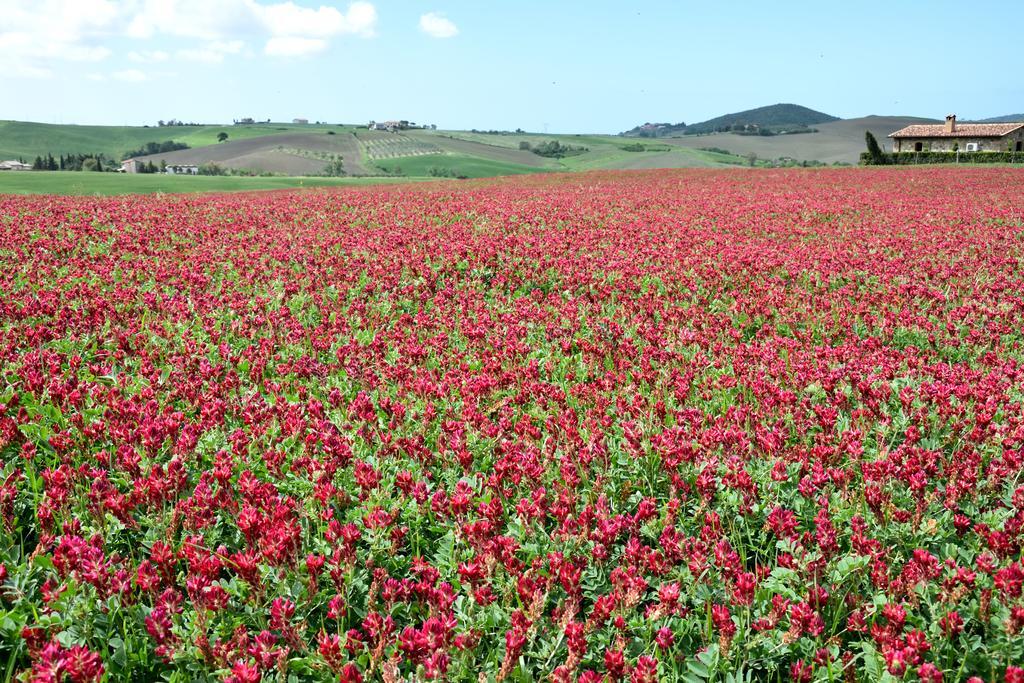 Agriturismo L'Impero سانتا لوتشي المظهر الخارجي الصورة